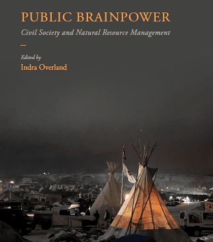 Public Brainpower: Civil Society and Natural Resource Management