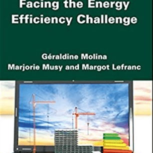 Building Professionals Facing the Energy Efficiency Challenge