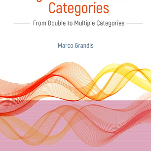 Higher Dimensional Categories: From Double to Multiple Categories