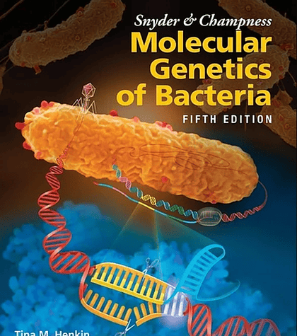  Snyder and Champness Molecular Genetics of Bacteria 5th Edition