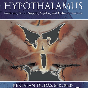 Atlas of the Human Hypothalamus: Anatomy, Blood Supply, Myelo-, and Cytoarchitecture