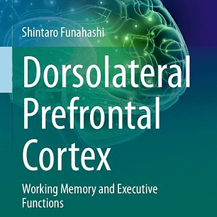 Dorsolateral Prefrontal Cortex: Working Memory and Executive Functions