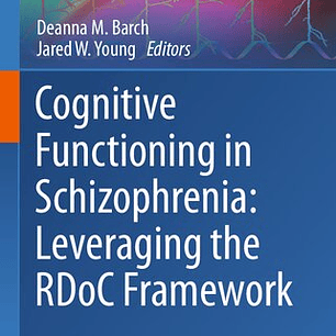 Cognitive Functioning in Schizophrenia: Leveraging the RDoC Framework