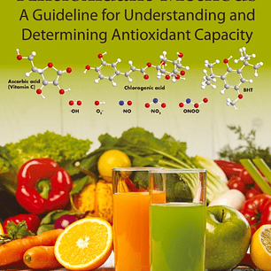Antioxidant Methods: A Guideline for Understanding and Determining Antioxidant Capacity