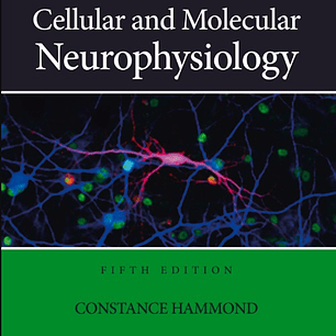 Cellular and Molecular Neurophysiology 5th Edition