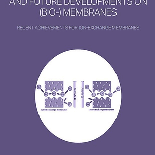 Current Trends and Future Developments on (Bio-) Membranes: Recent Achievements for Ion-Exchange Membranes 