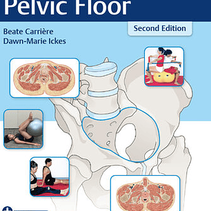 Fitness for the Pelvic Floor