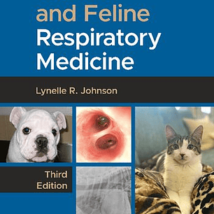 Canine and Feline Respiratory Medicine
