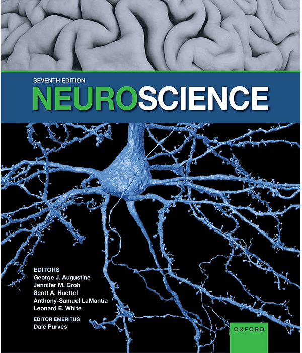  Neuroscience 7th Edition 