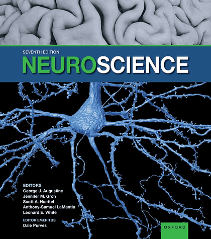  Neuroscience 7th Edition 