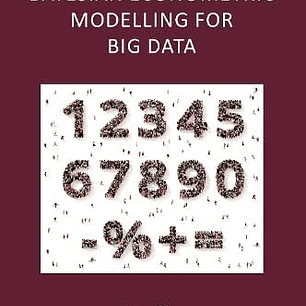 Bayesian Econometric Modelling for Big Data