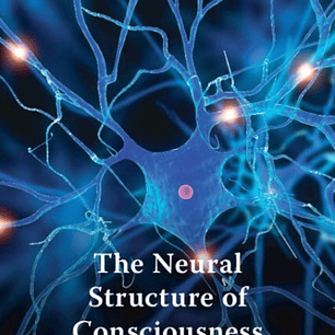 The Neural Structure of Consciousness