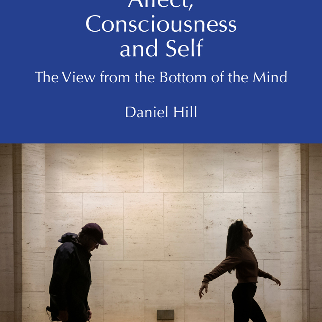 Affect, Consciousness and Self: The View from the Bottom of the Mind 1