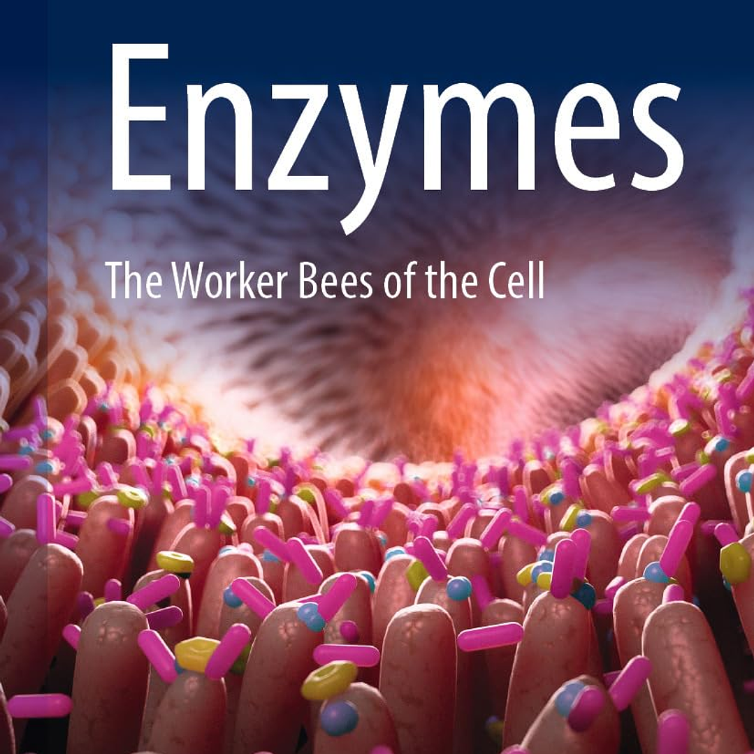Enzymes: The Worker Bees of the Cell 1