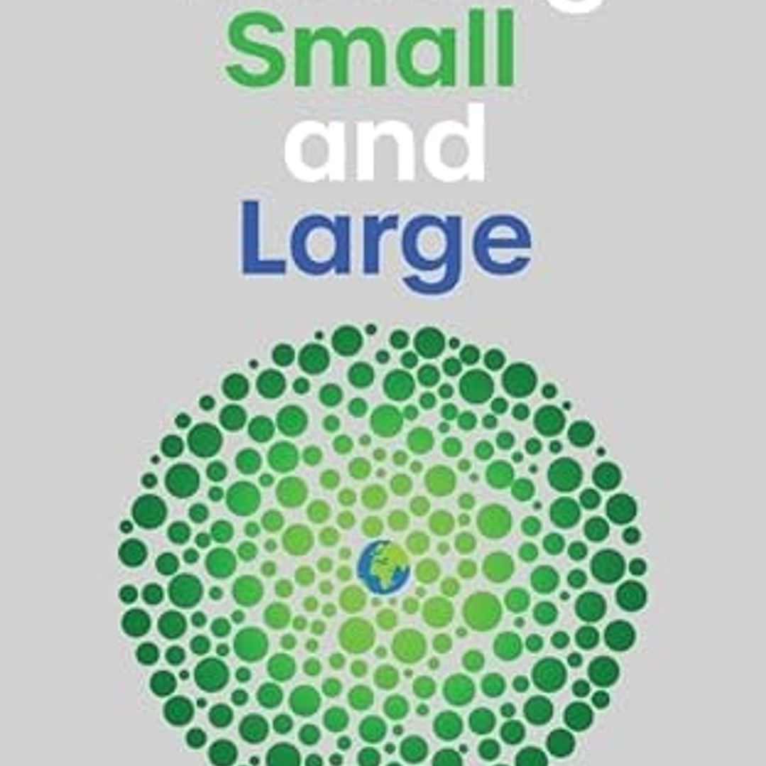 Thinking Small and Large 1