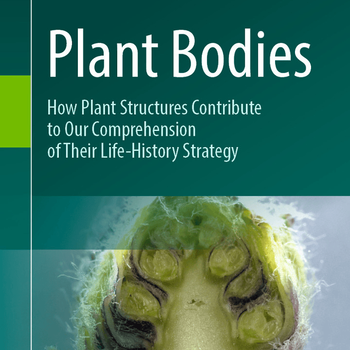  Plant Bodies: How Plant Structures Contribute to Our Comprehension of Their Life-History Strategy 1