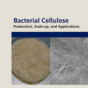 Bacterial Cellulose: Production, Scale-up, and Applications 