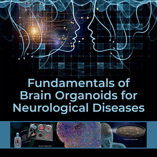 Fundamentals of Brain Organoids for Neurological Diseases