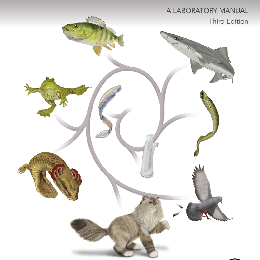 The Dissection of Vertebrates 3rd Edition 1