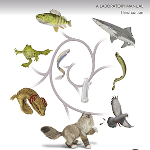 The Dissection of Vertebrates 3rd Edition