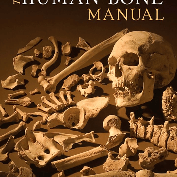 The Human Bone Manual  1