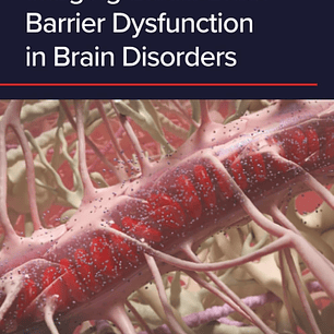 Imaging Blood-Brain Barrier Dysfunction in Brain Disorders