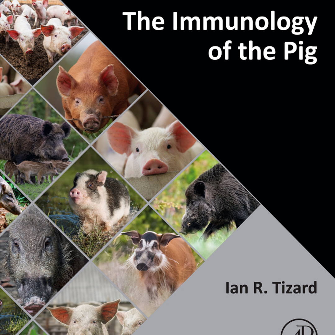 The Immunology of the Pig 1