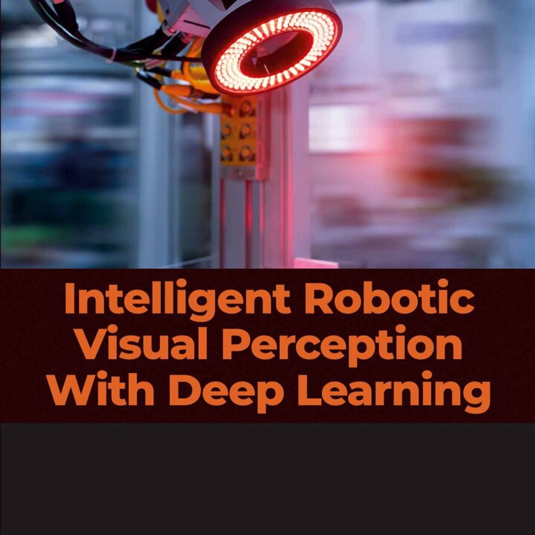 Intelligent Robotic Visual Perception with Deep Learning 1