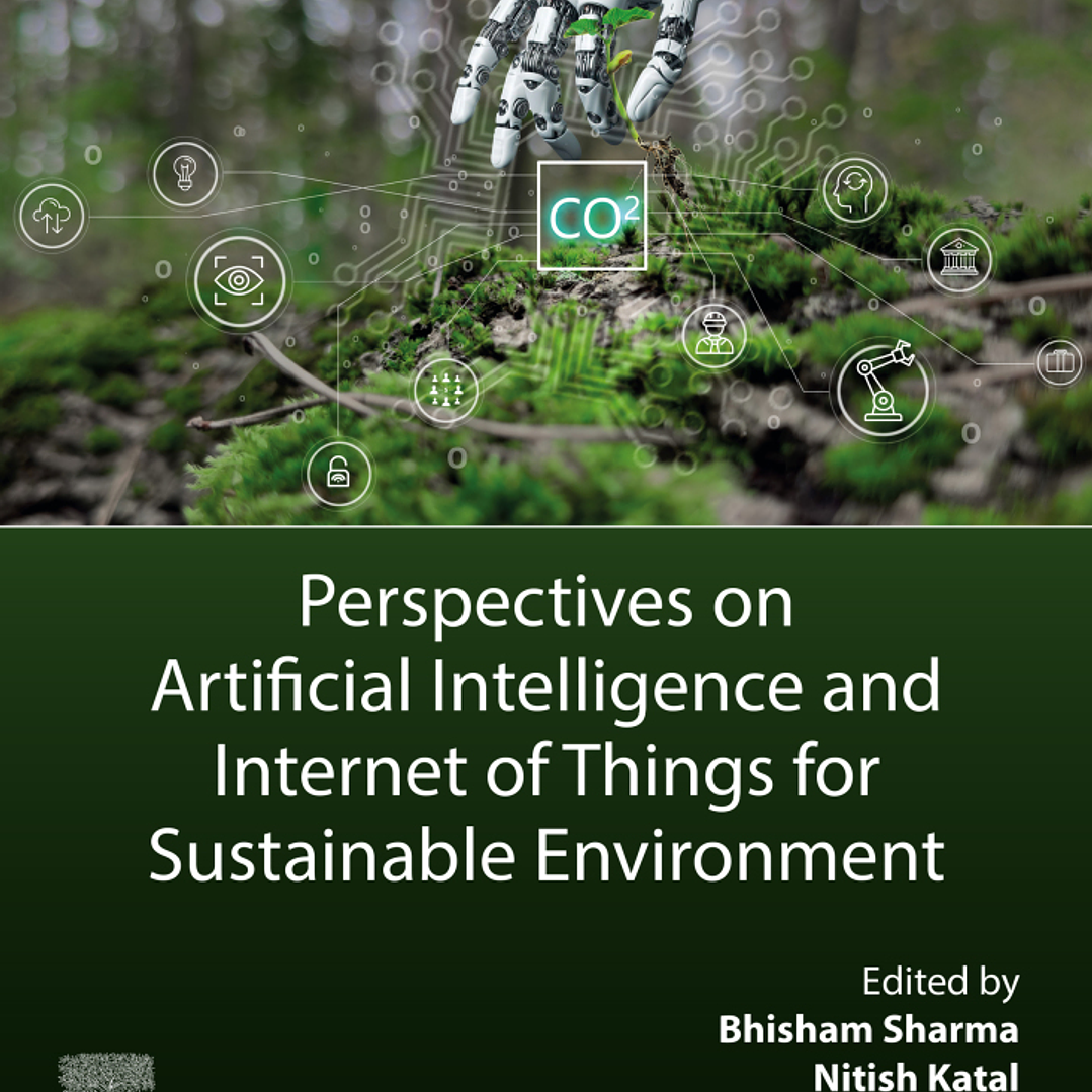 Perspectives on Artificial Intelligence and Internet of Things for Sustainable Environment 1