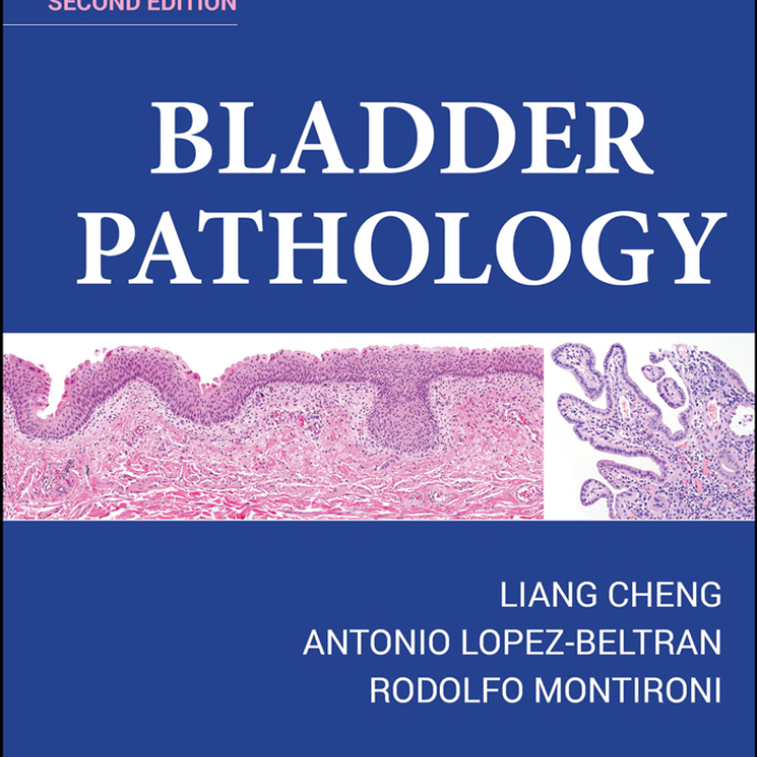 Bladder Pathology 2nd Edition 1