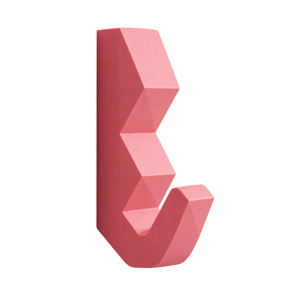 EBRA Wall Hook — Prism | Gancho de pared de diseño. 1
