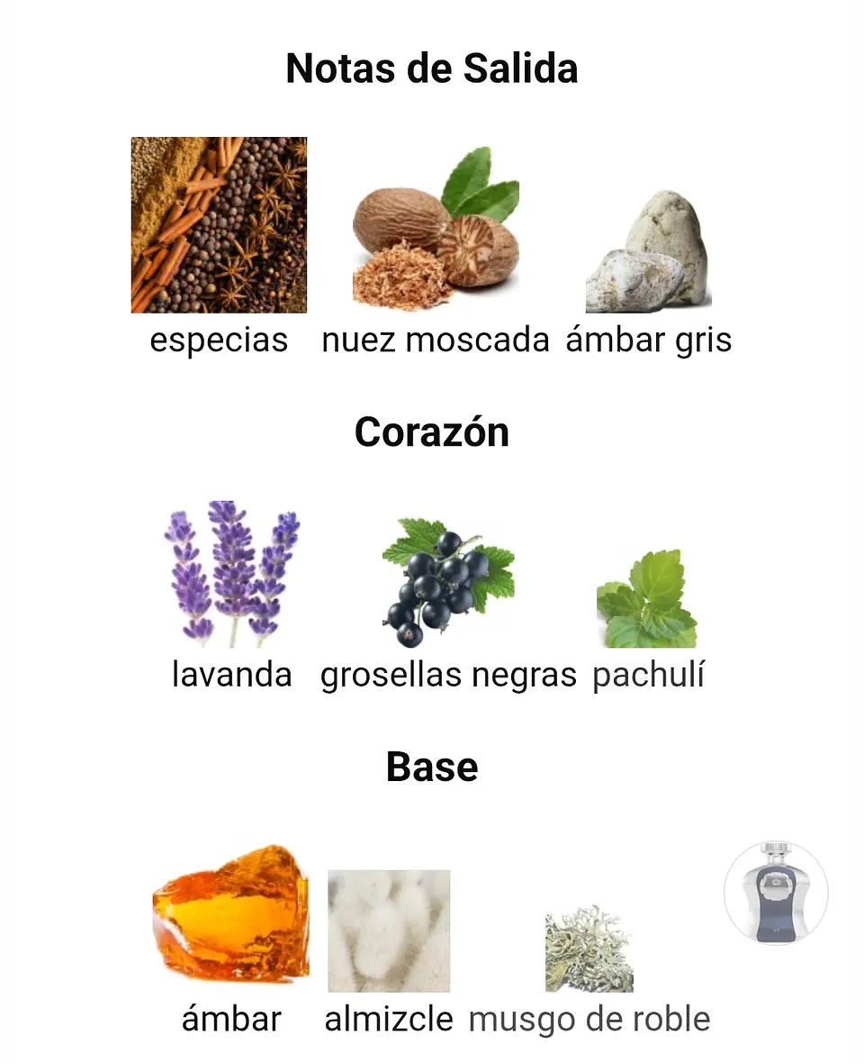 Afnan Highness VI De Afnan Hombre 100 ML EDP RF: 10431 6