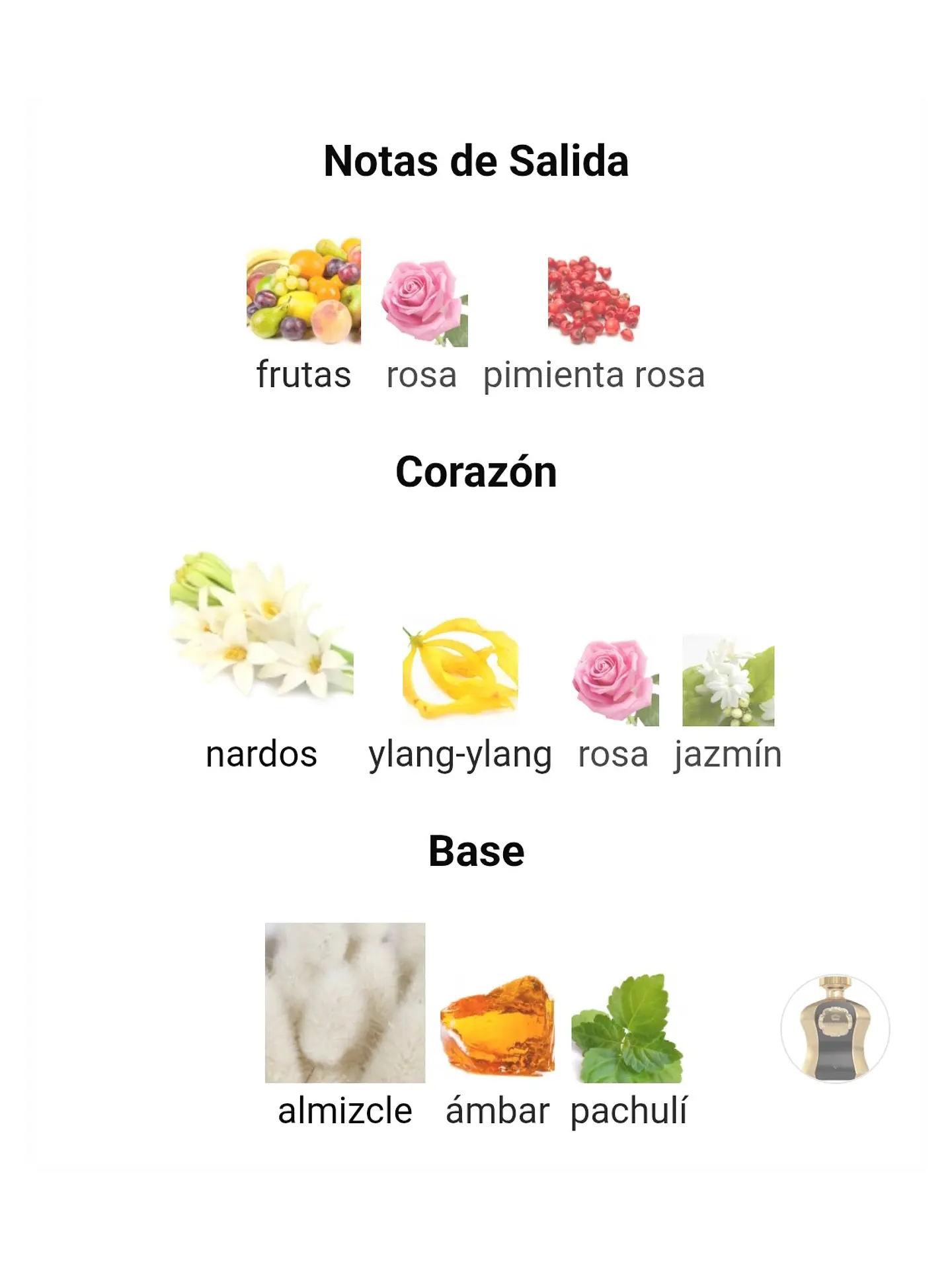 Afnan Highness V De Afnan Dama 100 ML EDP RF: 10432 4