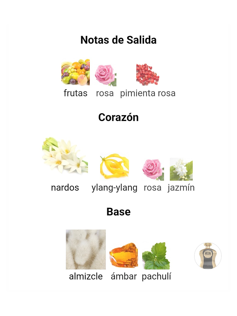 Afnan Highness V De Afnan Dama 100 ML EDP RF: 10432 4