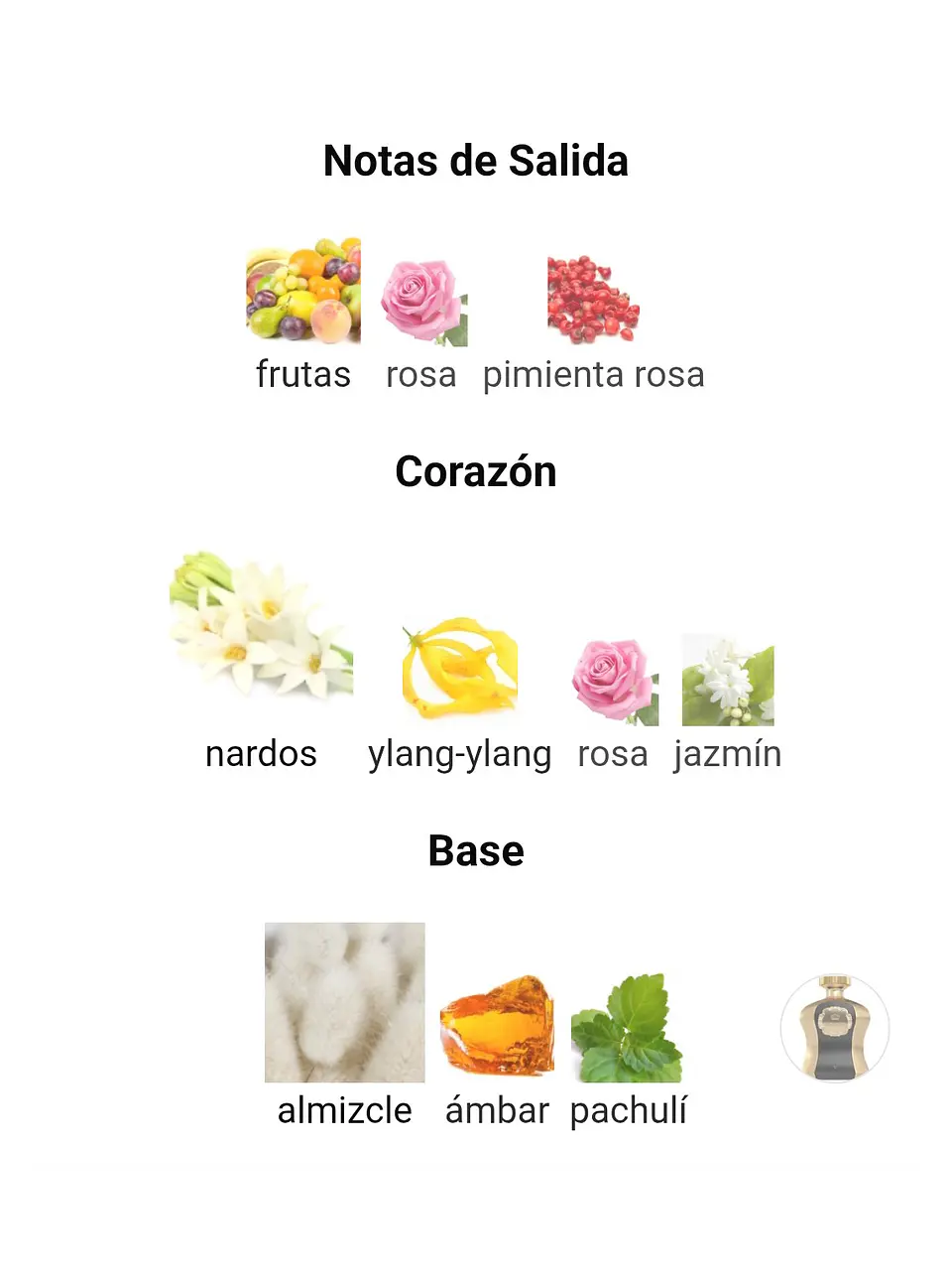 Afnan Highness V De Afnan Dama 100 ML EDP RF: 10432 4