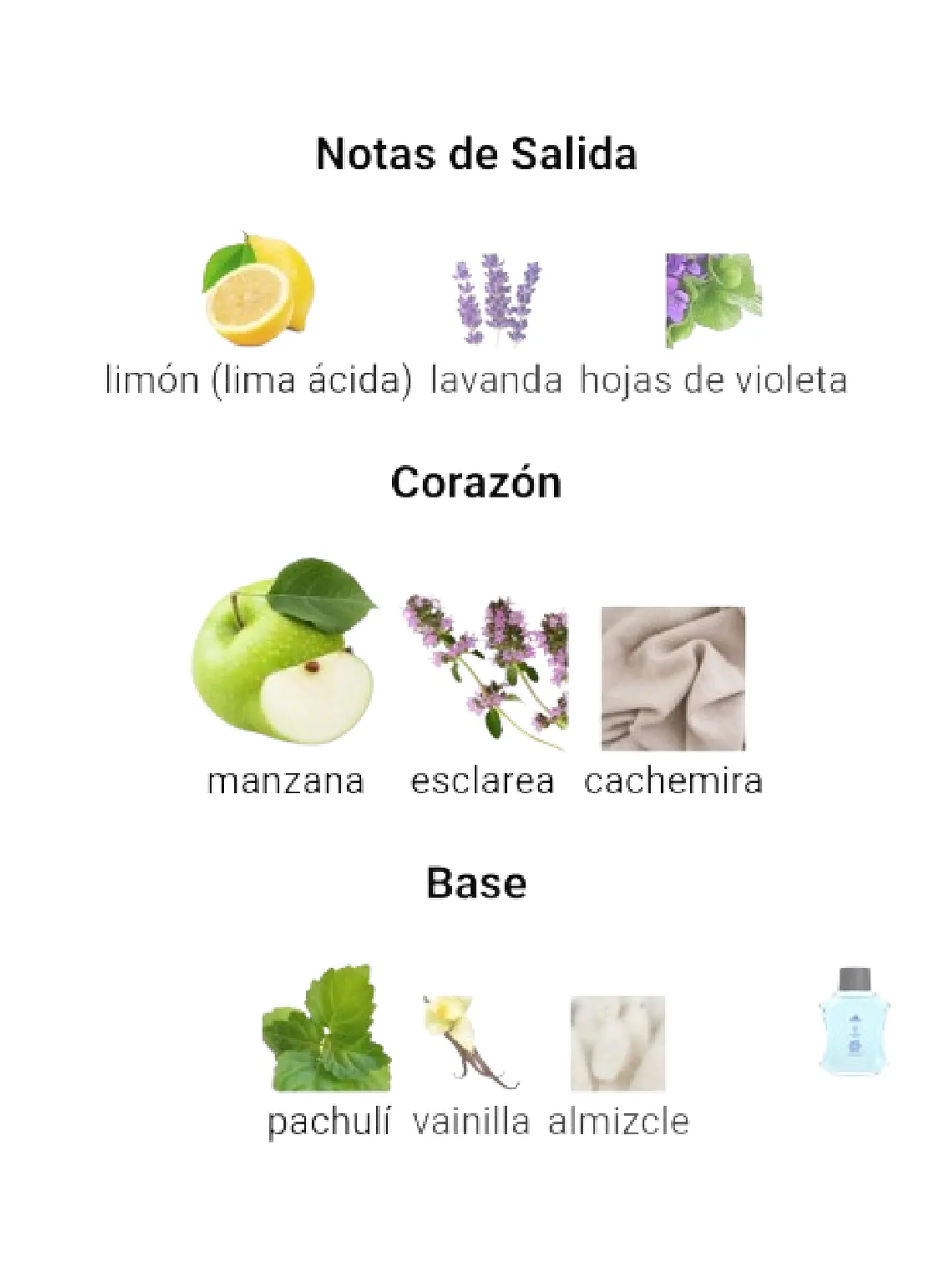 Adidas UEFA Champions League Arena Edition De Adidas 100 ML Hombre EDT RF: 9898 4