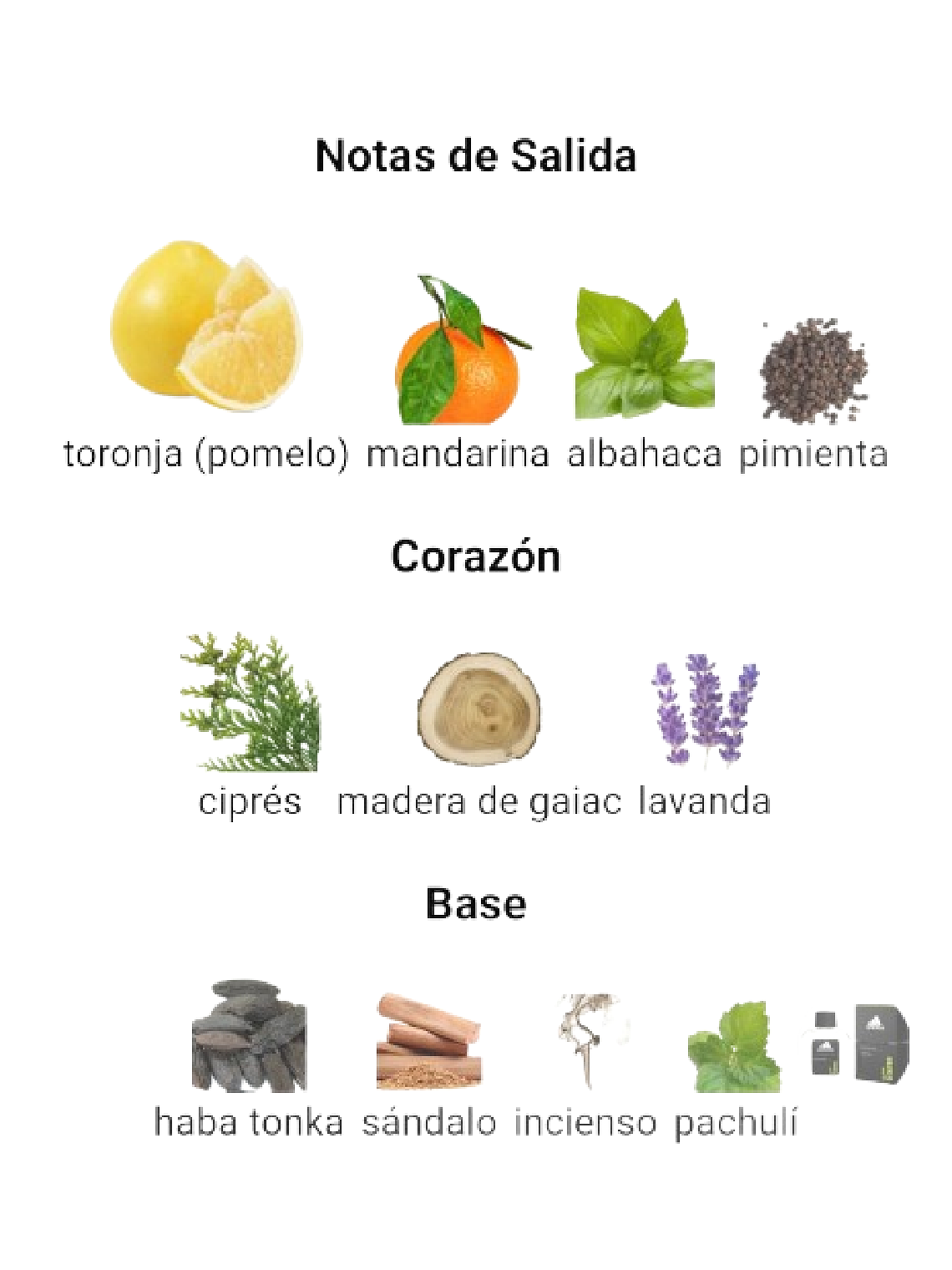 Adidas Adidas Pure Game 100 ML Hombre EDT RF: 4398 4