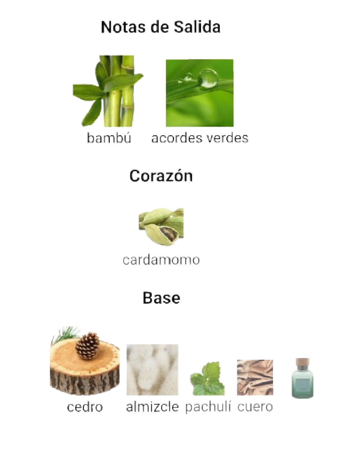 Adolfo Dominguez Bambú De Adolfo Dominguez 120 Ml EDP Hombre RF:11019 4