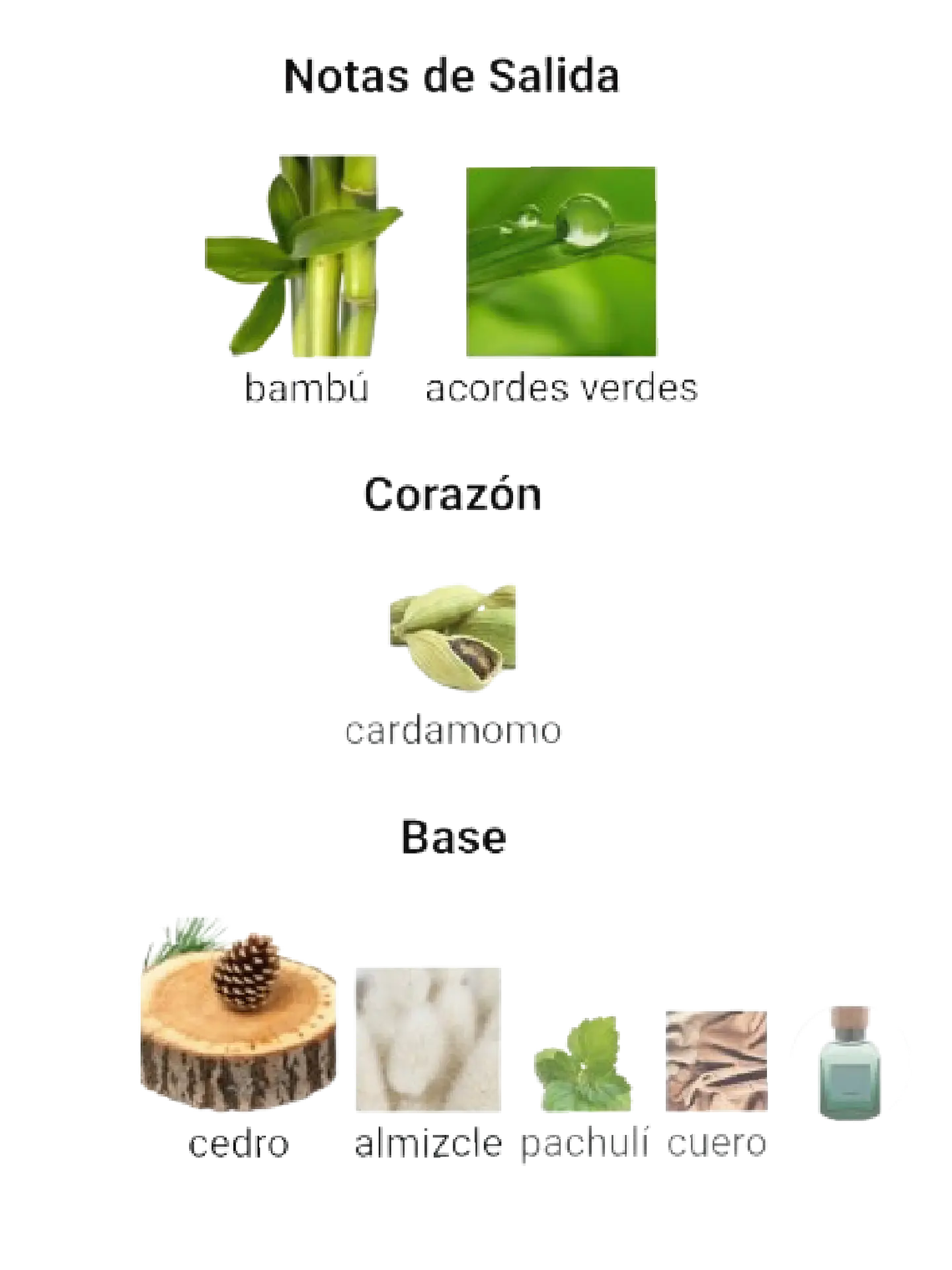 Adolfo Dominguez Bambú De Adolfo Dominguez 120 Ml EDP Hombre RF:11019 4