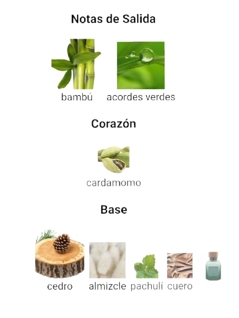 Adolfo Dominguez Bambú De Adolfo Dominguez 120 Ml EDP Hombre RF:11019 4