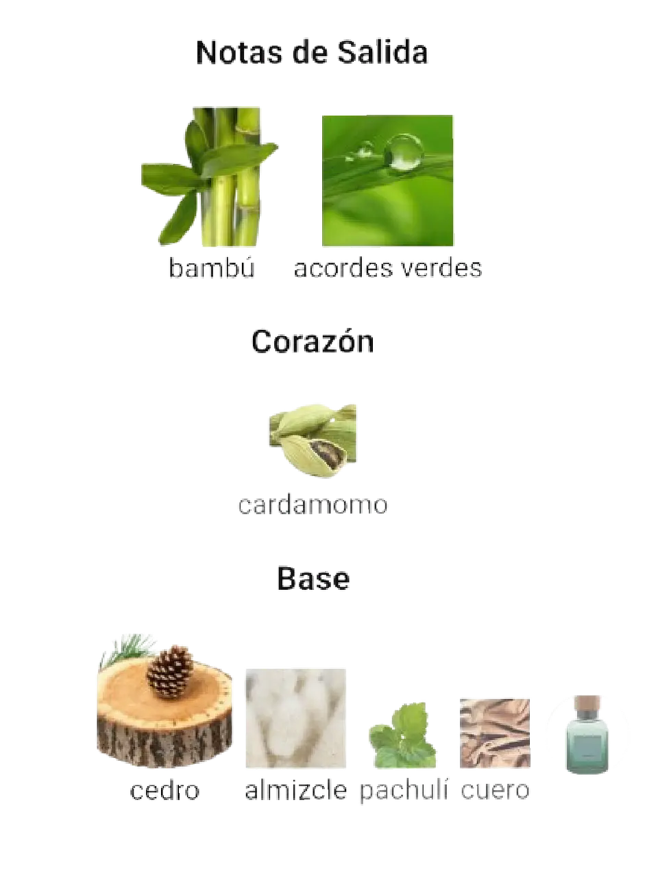 Adolfo Dominguez Bambú De Adolfo Dominguez 120 Ml EDP Hombre RF:11019 4