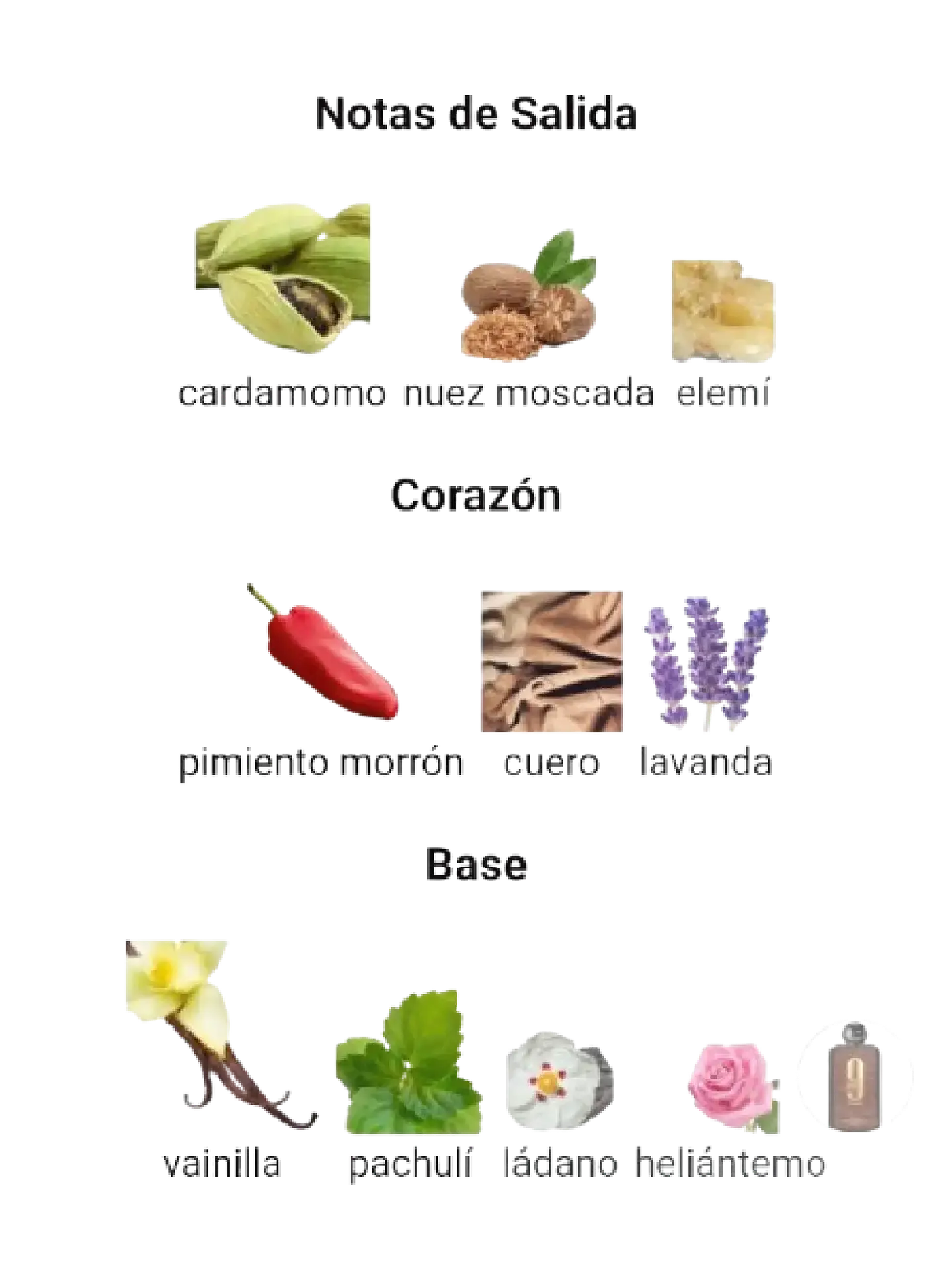 Afnan 9 PM Elixir de Afnan 100 Ml Parfum RF:11555 4