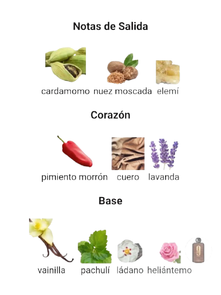 Afnan 9 PM Elixir de Afnan 100 Ml Parfum RF:11555 4