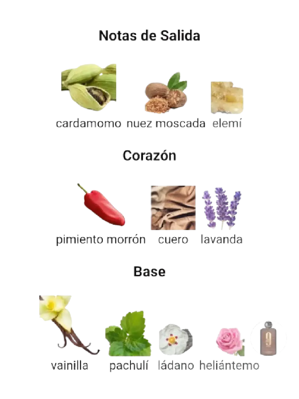 Afnan 9 PM Elixir de Afnan 100 Ml Parfum RF:11555 4