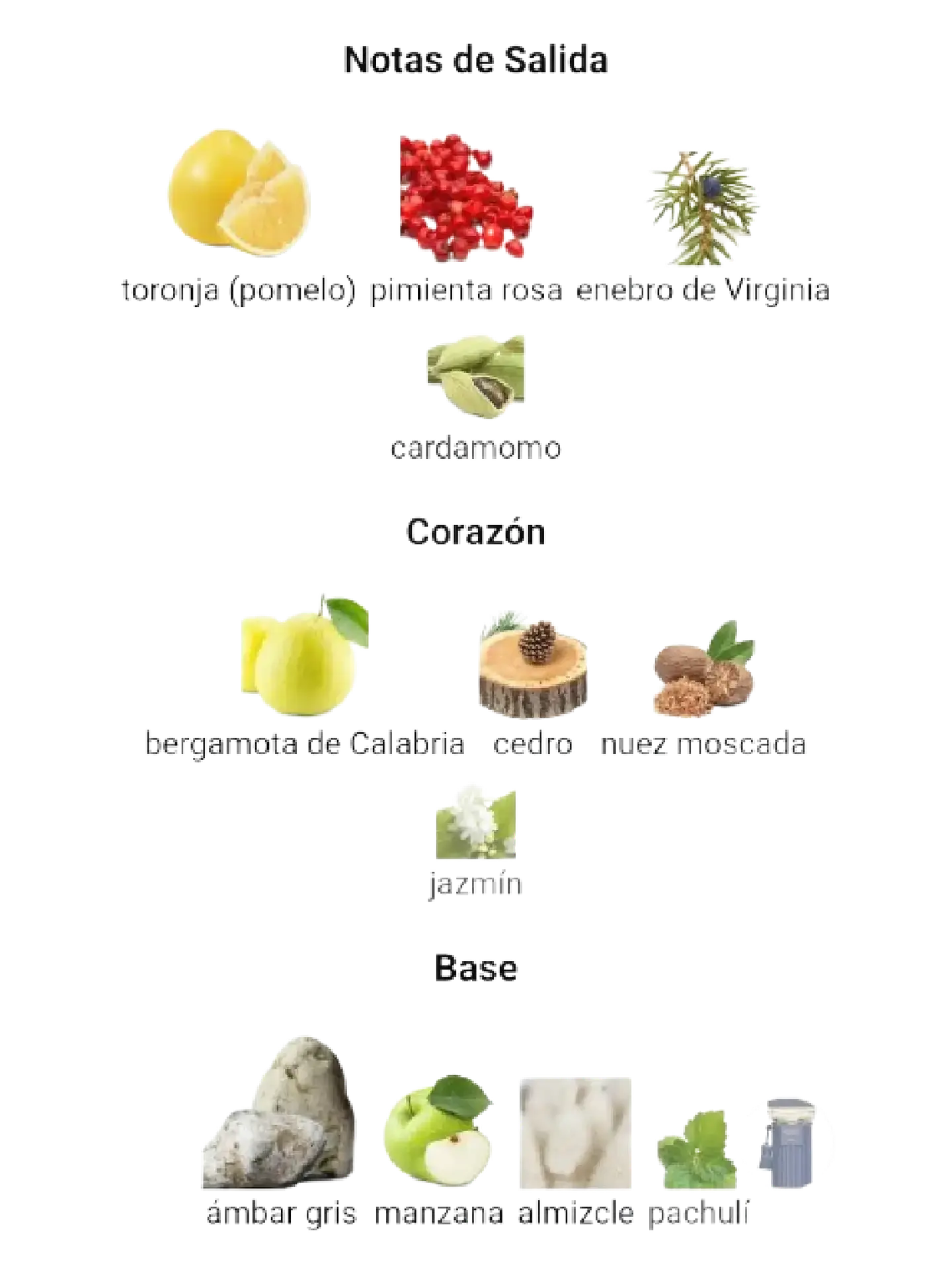 Afnan Historic Olmeda Afnan 100 Ml EDP Hombre RF: 11312 4