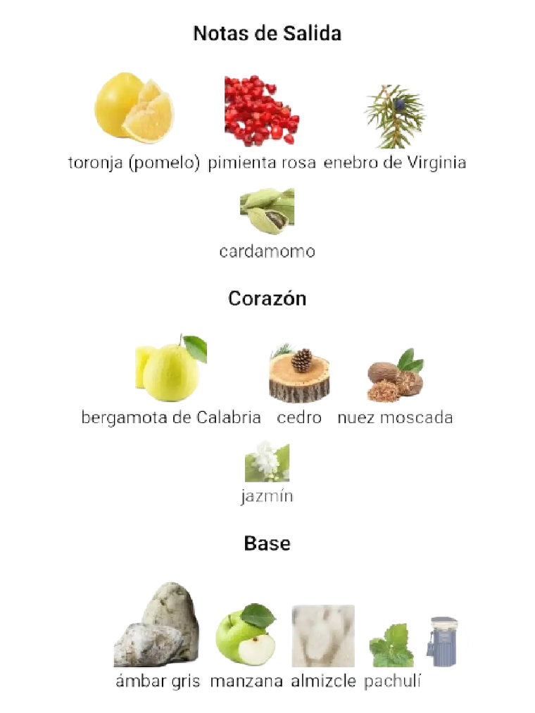 Afnan Historic Olmeda Afnan 100 Ml EDP Hombre RF: 11312 4