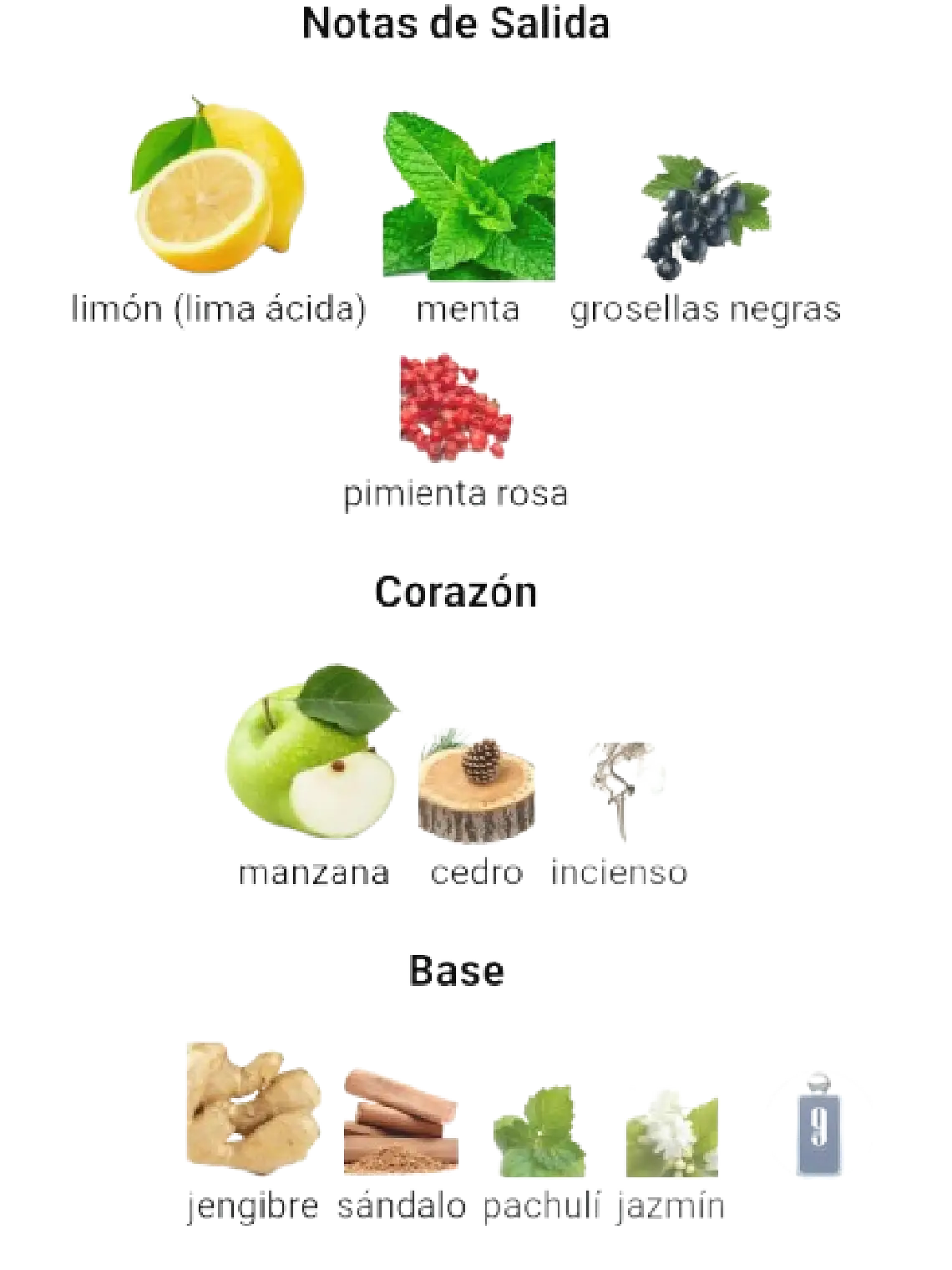 Afnan Set 9 Am Dive Afnan 3 Pcs EDP Hombre RF: 11195 3