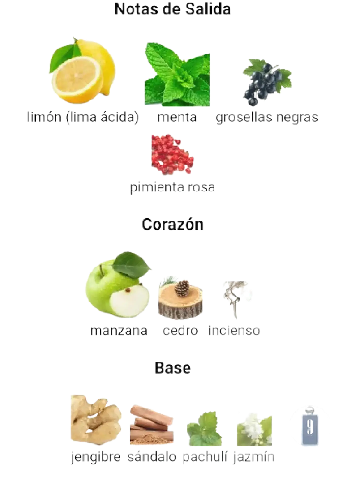 Afnan Set 9 Am Dive Afnan 3 Pcs EDP Hombre RF: 11195 3