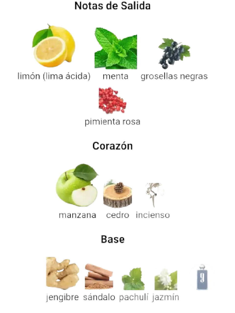 Afnan Set 9 Am Dive Afnan 3 Pcs EDP Hombre RF: 11195 3