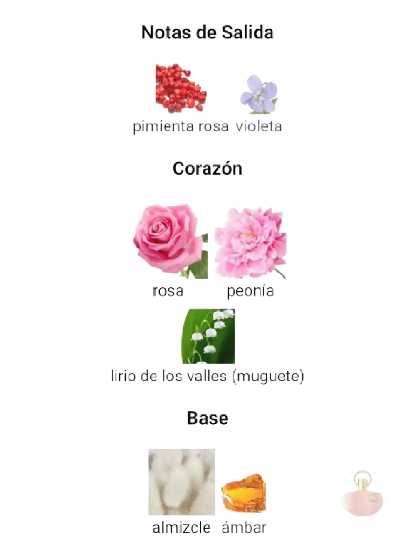 Afnan Supremacy Pink Afnan Mujer 100 Ml EDP RF: 11137 4